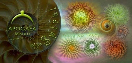 Apogaea-ticket-entry-1