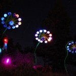 Sound Flowers