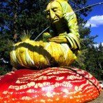 Caterpillar of Wonderland