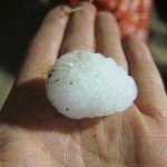 Apogaea Hail