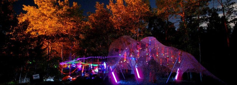 A large outdoor structure resembling a dinosaur is illuminated with colorful lights in a forest, reminiscent of a Colorado burner art installation. Trees glow with orange lights, contrasting against the dark night sky, creating a whimsical, festive atmosphere that echoes the spirit of Burning Man.