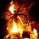 Butterfly burning
