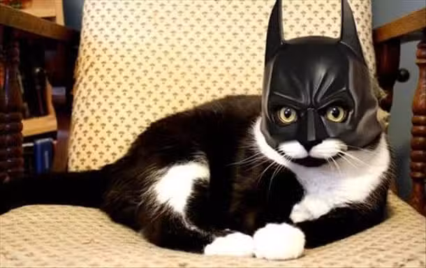 A black and white cat is sitting on a patterned chair, wearing a Batman mask. Its eyes are wide, peering through the eye holes of the mask, creating a humorous and playful scene.