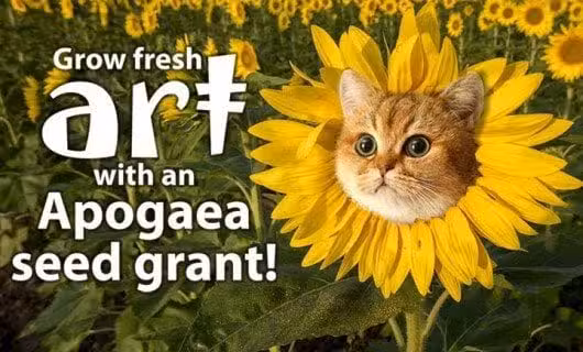 A cats face humorously peeks out from the center of a sunflower in a vibrant field. Text reads: Grow fresh art with an Apogaea seed grant! Experience the whimsy of Colorado Burning Man creativity.
