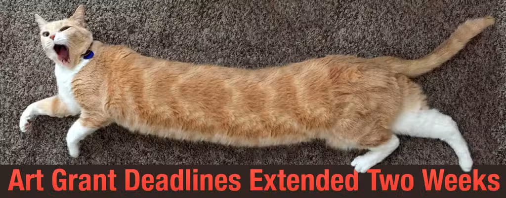 A stretched-out ginger and white cat yawns while lying on a carpet. At the bottom of the image, red text on a dark background reads: Art Grant Deadlines Extended Two Weeks. It’s as if this Colorado art-loving feline just returned from a creative Burning Man event.