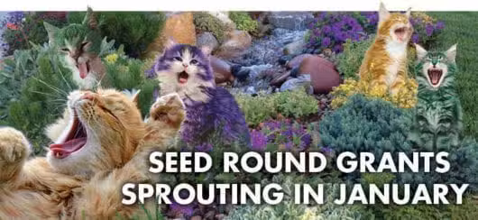 A vibrant garden with colorful flowers and five cats edited in playful hues like green, purple, orange, and teal. The orange cat in front yawns or vocalizes. Text reads Colorado Burner Seed Round Grants Sprouting in January.