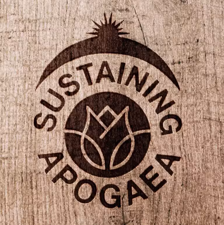 A wood-textured background features a design with a sunburst and crescent above the word SUSTAINING and a stylized flower above the word APOGAEA, capturing the vibrant essence of Colorado Burning Man events.