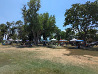 People gather under colorful canopies and trees in a park on a sunny day. Some sit at picnic tables, while others stand or walk. The grass is patchy, and the sky is clear and blue.