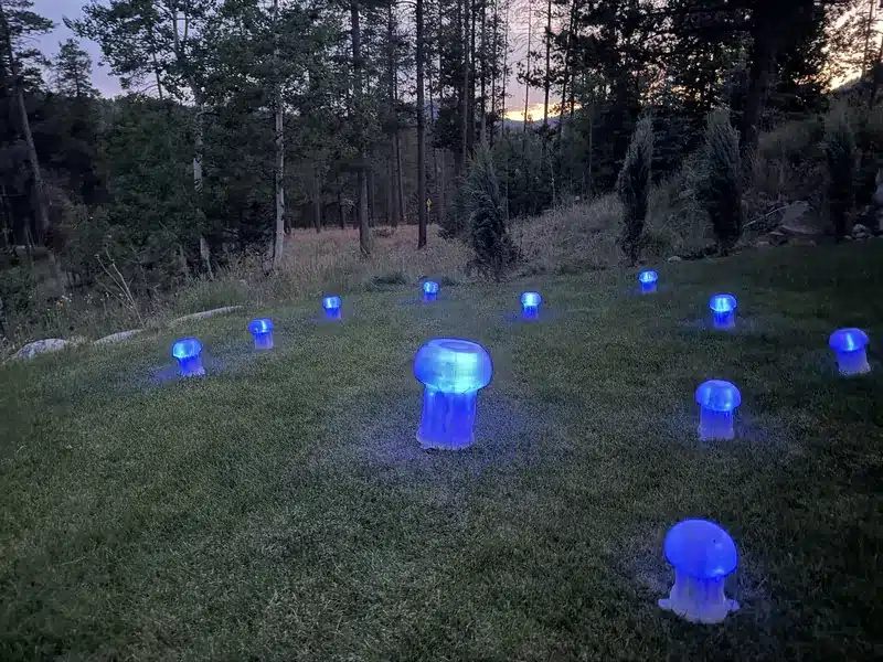 Glowing blue jellyfish lamps scattered across a grassy meadow at dusk, with pine forest behind.