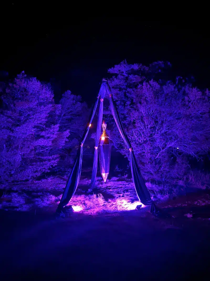 A tall draped fabric installation lit purple among trees at night.
