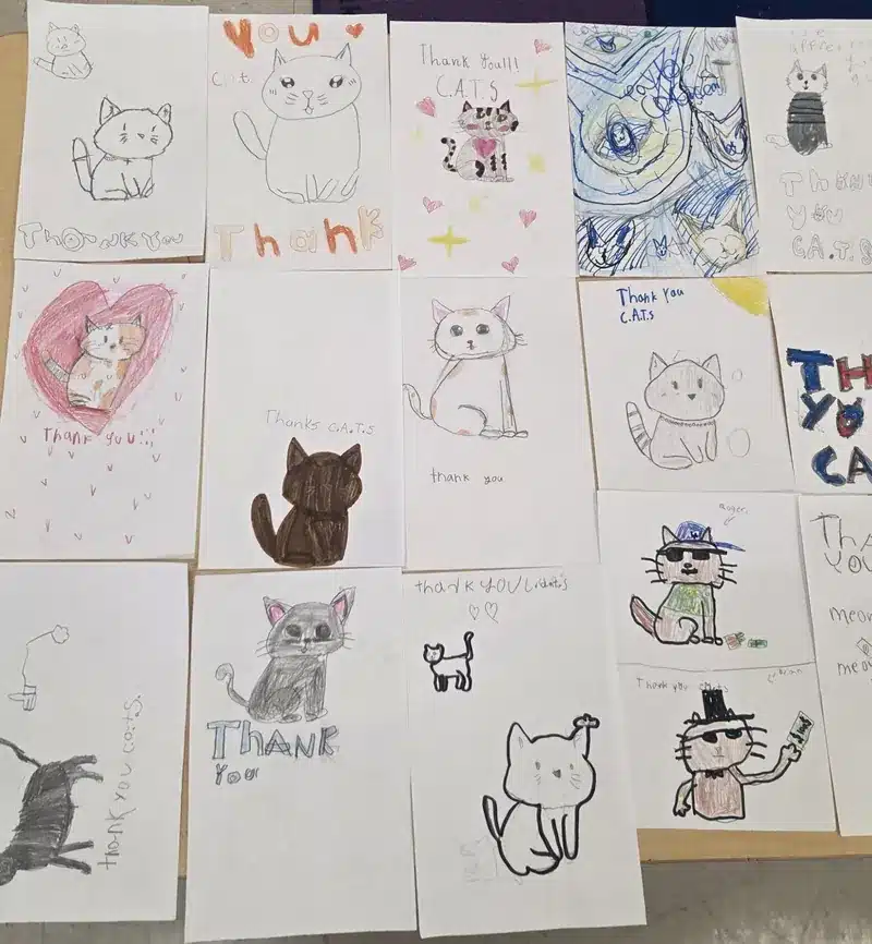 A table covered in students' hand-drawn cat pictures reading Thank you CATS, colored in crayon and marker.