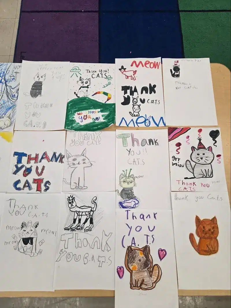 More student thank-you drawings laid out on a classroom table, with cats in party hats and sunglasses and the words Thank you CATS and Meow.