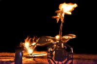 A nighttime scene depicts a large metal flower structure with flames emanating from the blossom, characteristic of a Colorado Burning Man event. Adjacent is a heart-shaped sculpture also emitting fire. Figures stand nearby, observing the illuminated art against the dark backdrop.
